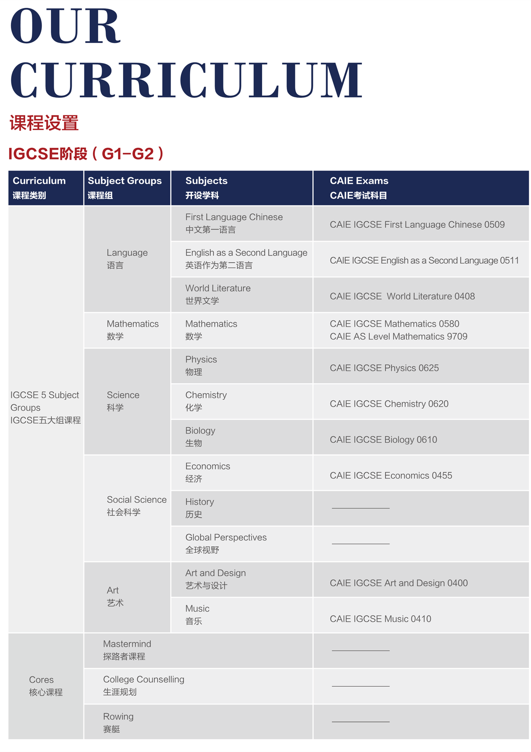 上海德英樂學院開設哪些課程？