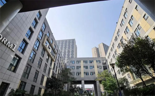 2025年重慶德普外國(guó)語(yǔ)學(xué)校國(guó)際高中招生信息