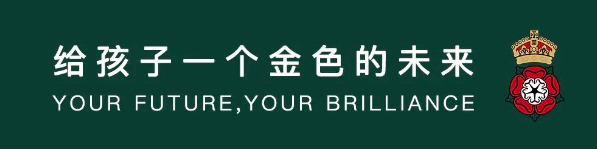 南京金地未來學校喜報｜A-level大考放榜，金地學子榮耀而歸