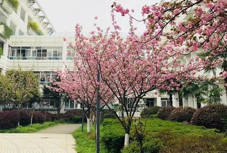南京師范大學(xué)附屬實(shí)驗(yàn)學(xué)校國際部招生簡(jiǎn)章