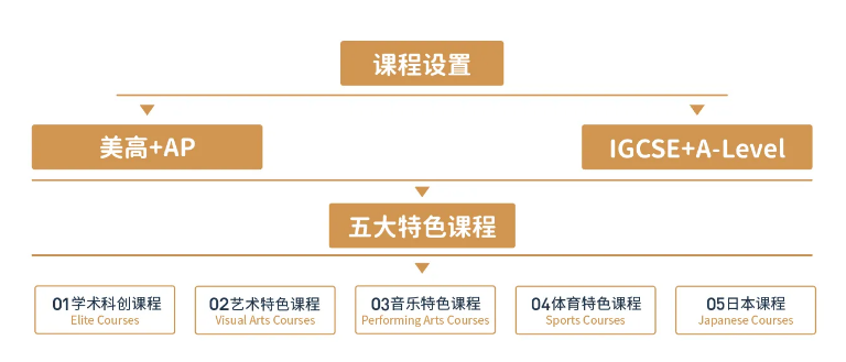 上海諾美學(xué)校日本SGU項(xiàng)目2025年招生簡章！