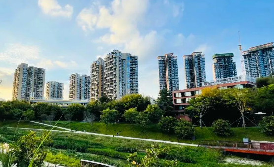 深圳IPC國際校區(qū)2025秋招：幼兒園至初中少量名額，課程特色全解析